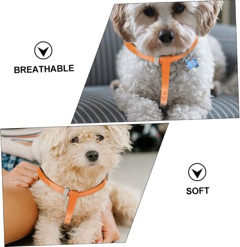 Garneck Dog and Cat Leash Cartoon Design for Puppies and Kittens for Outdoor Activities Fits Pets in Saudi Arabia