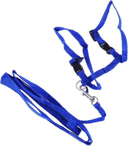 Garneck Blue Traction Rope Cat Harness Kitten Leash and Harness Lightweight Pet Supplies Nylon Collar Leash for Cats Pet Accessories in Saudi Arabia