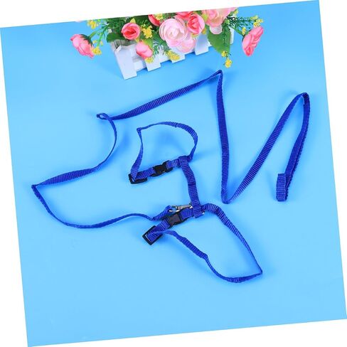 Garneck Blue Traction Rope Cat Harness Kitten Leash and Harness Lightweight Pet Supplies Nylon Collar Leash for Cats Pet Accessories in Saudi Arabia
