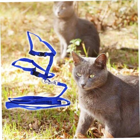 Garneck Blue Traction Rope Cat Harness Kitten Leash and Harness Lightweight Pet Supplies Nylon Collar Leash for Cats Pet Accessories in Saudi Arabia