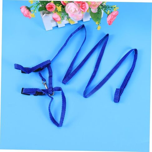 Garneck Blue Traction Rope Cat Harness Kitten Leash and Harness Lightweight Pet Supplies Nylon Collar Leash for Cats Pet Accessories in Saudi Arabia