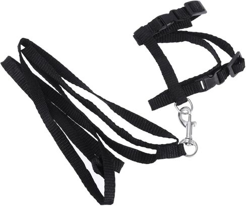 balacoo Indoor Outdoor Cat Harness Traction Rope Collar Leash Pet Supplies Pet Accessories in Saudi Arabia