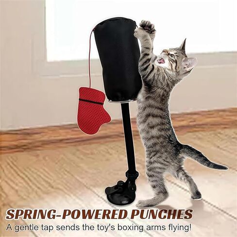 لعبة Cat Huncing Bag toy ， لعبة ملاكمة للقطط التفاعلية مع التمرين الزنبركي Mini Mini Boxing indoor inten inction و activity activing basing bag bag bag acction and bell مناسبة للقطط (جهاز كمبيوتر واحد) in Kuwait