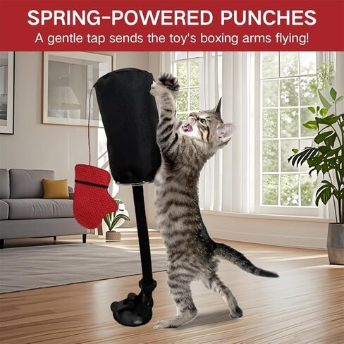 لعبة Cat Huncing Bag toy ， لعبة ملاكمة للقطط التفاعلية مع التمرين الزنبركي Mini Mini Boxing indoor inten inction و activity activing basing bag bag bag acction and bell مناسبة للقطط (جهاز كمبيوتر واحد) in Kuwait