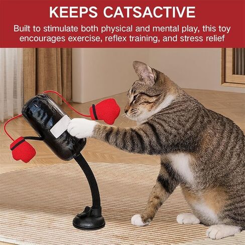 لعبة Cat Huncing Bag toy ， لعبة ملاكمة للقطط التفاعلية مع التمرين الزنبركي Mini Mini Boxing indoor inten inction و activity activing basing bag bag bag acction and bell مناسبة للقطط (جهاز كمبيوتر واحد) in Kuwait