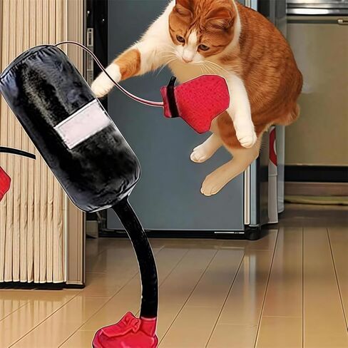 لعبة Cat Huncing Bag toy ， لعبة ملاكمة للقطط التفاعلية مع التمرين الزنبركي Mini Mini Boxing indoor inten inction و activity activing basing bag bag bag acction and bell مناسبة للقطط (جهاز كمبيوتر واحد) in Kuwait