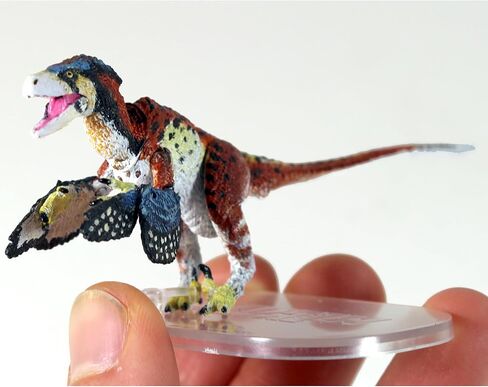 الوحوش من Mesozoic: Dromaeosaurus Albertensis Fan Choice - 1/18 Figure Dinosaur Action Figure - 4 "Miniature Miniature ، Raptor in Kuwait