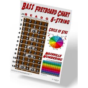 5 String Bass Fretboard Poster - Nashville Numbering System, Circle of 5ths, Notes Instructional Chart | A New Song Music | 11x17