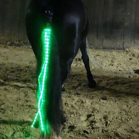 معدات الحصان ركوب الخيل زخارف الفروسية LED ضوء وامض شريط تسخير الرياضة في الهواء الطلق USB تهمة ركوب الزينة (الأزرق) in Kuwait