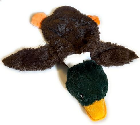 لعبة Duck Dog Plush ، تصميم بدون أشياء مع صرير ، بني وخضراء in Saudi Arabia