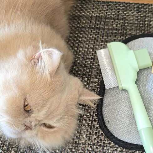 2 PCS Cat Comb Dog Comb Tool, 1 PCS Pet Hair Removal Gloves Brush, Reusable Pet Cat Dog Hair Removal Grooming Gloves Brush Tool (2PCS+1PCS) in Saudi Arabia