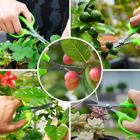 Garden Scissors, 6in Pruning Shears Snips Non-stick Coated Sharp Steel Blades - Gardening Tools Garden Shears for Plants Herb Flowers in Grow Tent and Hydroponics, Curved Blade in Saudi Arabia