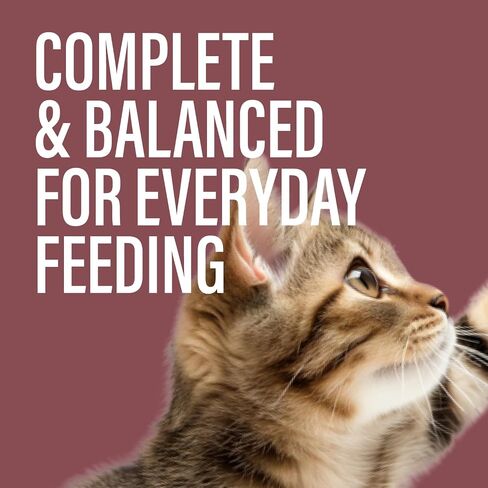 Chewer's Joy Wet Cat Food Food Pack - 3 نكهات: سمك التونة والسلمون ، الدجاج والديك الرومي - Pâté الطبيعي - البروتين العالي - خالية من الحبوب - التغذية الكاملة والمتوازنة - 12 علب (3 أوقية) in Kuwait