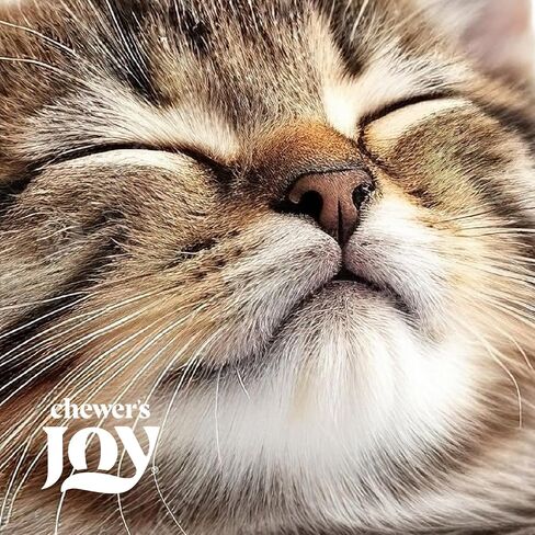 Chewer's Joy Wet Cat Food Food Pack - 3 نكهات: سمك التونة والسلمون ، الدجاج والديك الرومي - Pâté الطبيعي - البروتين العالي - خالية من الحبوب - التغذية الكاملة والمتوازنة - 12 علب (3 أوقية) in Kuwait