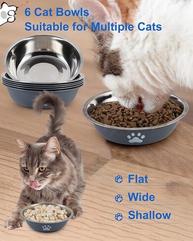 6 PCS Stainless Steel Cat Bowls, Non-Slip Stainless Cats Food Bowl Metal Cat Dishes Whisker Fatigue Kitten Plates Shallow Wide Kitten Bowls, 5.5" Whisker Friendly Food Dish (Bright Green) in Kuwait