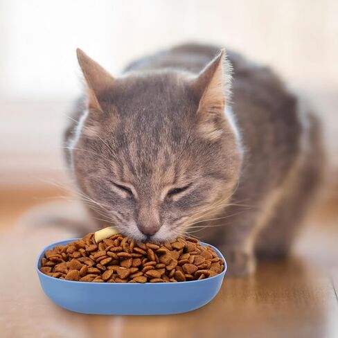 Lemonroad 40 PCS Cat Food Bowl 5.7 بوصة التعب أطباق قطة السلع والأطباق المبللة الواسعة والضحلة للقطط للقطط والقطط قصيرة الأرجل والحيوانات الأليفة الوحشية in Saudi Arabia
