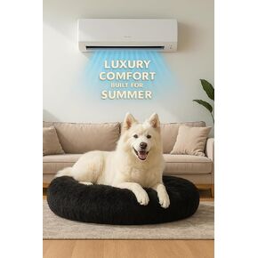 Pets Bed in Kuwait