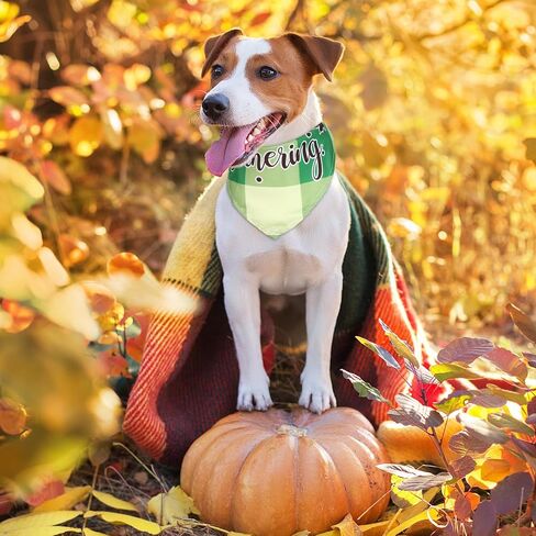 silkfly 60 pcs fall dog bandanas blaid plaid plaid shortgiving dog dicf bibs puppy bandanas kerchift absable costume assume succories for small tope cles dogs clas in Saudi Arabia