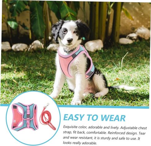 Popetpop 1Set Cat and Leash لسترة الحيوانات الأليفة المشي في الهواء الطلق للقطط والجزر مريحة وآمنة للتدريب والركض لتصميم الألوان اللطيف in Saudi Arabia