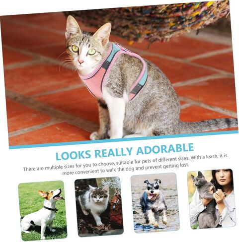 Popetpop 1Set Cat and Leash لسترة الحيوانات الأليفة المشي في الهواء الطلق للقطط والجزر مريحة وآمنة للتدريب والركض لتصميم الألوان اللطيف in Saudi Arabia