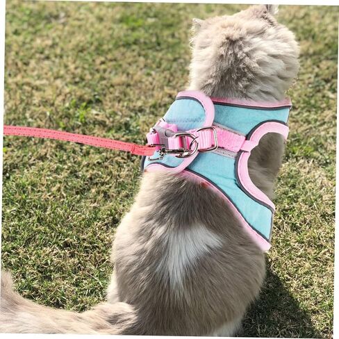 Popetpop 1Set Cat and Leash لسترة الحيوانات الأليفة المشي في الهواء الطلق للقطط والجزر مريحة وآمنة للتدريب والركض لتصميم الألوان اللطيف in Saudi Arabia