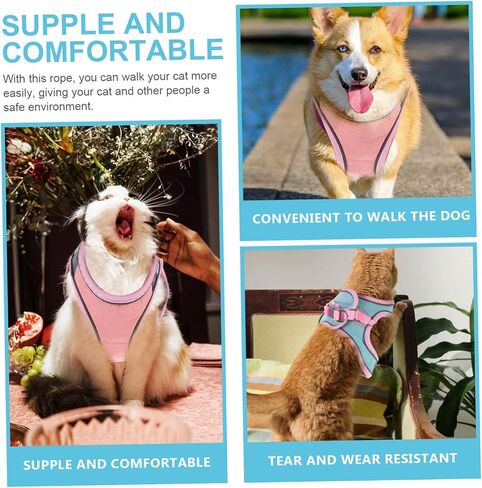 Popetpop 1Set Cat and Leash لسترة الحيوانات الأليفة المشي في الهواء الطلق للقطط والجزر مريحة وآمنة للتدريب والركض لتصميم الألوان اللطيف in Saudi Arabia
