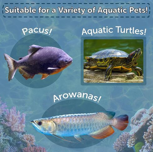 مزيج مركب من طراز Aquatic Foods Inc. 4 من النوع المتنوع من الديدان الفائقة المجففة ، Krill ، الروبيان الأحمر ، الديدان للوجبات لأسماك الوحش ، الزواحف ، السلاحف ، السلاحف ، الضفادع ، الهامستر ، الطيور ، القوارض 1 أوقية in Saudi Arabia