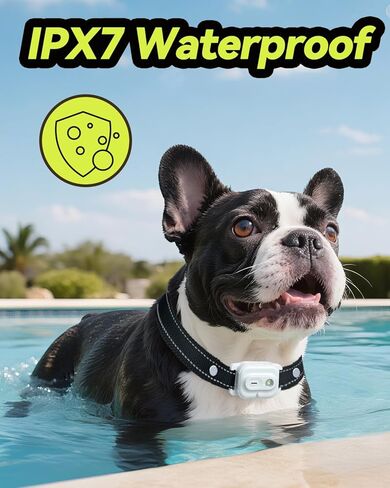 Dog Shock Collar, Dog Training Collar with Remote Control 3300FT Range, Electric Collar with Smart Light, Rechargeable Waterproof E Collar for Small Medium Large Dogs in Kuwait