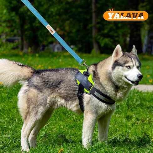 YALAVA 4FT Dog Leash with Soft Padded Handle, Heavy Duty Nylon Reflective Dog Leashes, Fits Small Medium or Large Dogs, Black in Kuwait