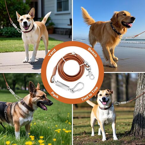 Coos Beni Chew-Resistant Dog Tie-Out Cable – Heavy-Duty Leash with Spring Shock Absorber and 360° Swivel Hook – Ideal for Yard, Camping, Beach, Outdoor Running (Copper, 10FT) in Saudi Arabia