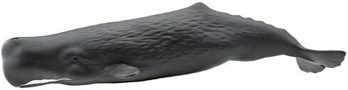 Safari Ltd. Sperm Whale Figurine - Lifelike 9" Whale Figure - Ocean Animal Toy for Boys, Girls and Kids Ages 1+ in Saudi Arabia