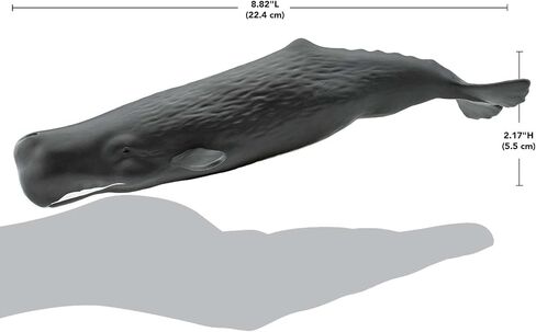 Safari Ltd. Sperm Whale Figurine - Lifelike 9" Whale Figure - Ocean Animal Toy for Boys, Girls and Kids Ages 1+ in Saudi Arabia
