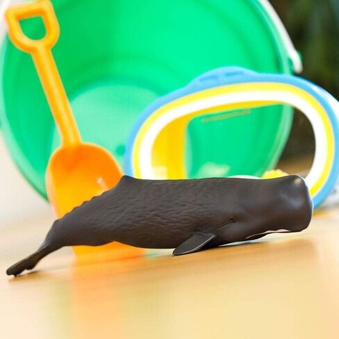 Safari Ltd. Sperm Whale Figurine - Lifelike 9" Whale Figure - Ocean Animal Toy for Boys, Girls and Kids Ages 1+ in Saudi Arabia