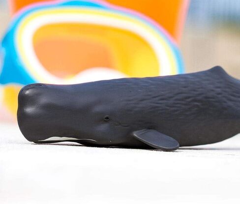 Safari Ltd. Sperm Whale Figurine - Lifelike 9" Whale Figure - Ocean Animal Toy for Boys, Girls and Kids Ages 1+ in Saudi Arabia