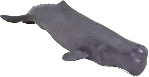 Safari Ltd. Sperm Whale Figurine - Lifelike 9" Whale Figure - Ocean Animal Toy for Boys, Girls and Kids Ages 1+ in Saudi Arabia