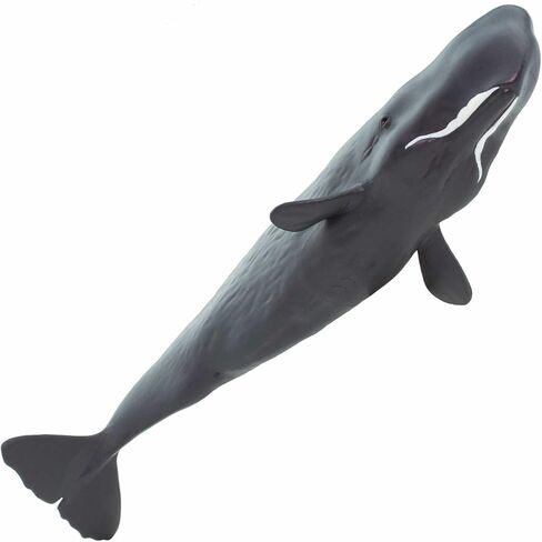 Safari Ltd. Sperm Whale Figurine - Lifelike 9" Whale Figure - Ocean Animal Toy for Boys, Girls and Kids Ages 1+ in Saudi Arabia