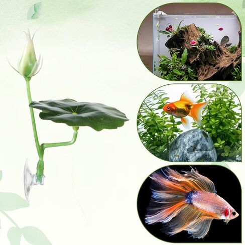 3 PCS Betta Fish Bed Betta Leaf Leaftive Cuction Cup Decor Tank Toys Toys Leaf Pad Pad Leaf Leaf Leaf Leaf Tank محاكاة الموائل الطبيعية منطقة راحة مريحة in Kuwait