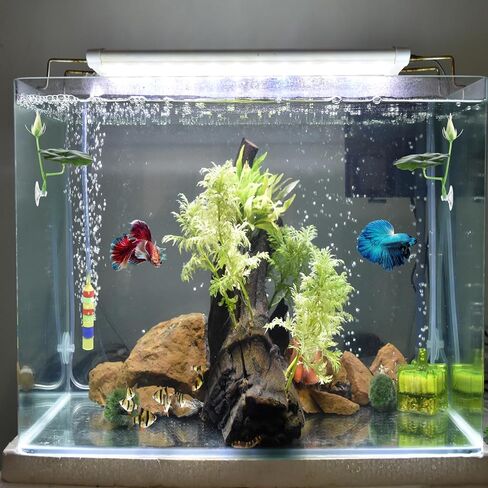 3 PCS Betta Fish Bed Betta Leaf Leaftive Cuction Cup Decor Tank Toys Toys Leaf Pad Pad Leaf Leaf Leaf Leaf Tank محاكاة الموائل الطبيعية منطقة راحة مريحة in Kuwait