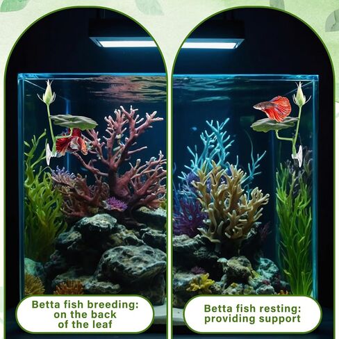 3 PCS Betta Fish Bed Betta Leaf Leaftive Cuction Cup Decor Tank Toys Toys Leaf Pad Pad Leaf Leaf Leaf Leaf Tank محاكاة الموائل الطبيعية منطقة راحة مريحة in Kuwait