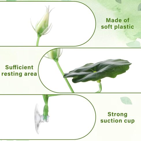 3 PCS Betta Fish Bed Betta Leaf Leaftive Cuction Cup Decor Tank Toys Toys Leaf Pad Pad Leaf Leaf Leaf Leaf Tank محاكاة الموائل الطبيعية منطقة راحة مريحة in Kuwait