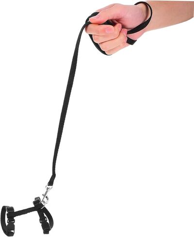 Toyvian 2pcs قابلة للتعديل والقطعة خفيفة الوزن مقاومة للارتداء ملاءمة للمشي في الهواء الطلق الآمنة للقطط الصغيرة والقطط الصغيرة in Saudi Arabia