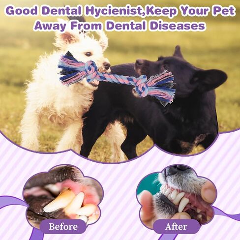 48 PCS Dog Toys Bulk But ropes Dental Cotton Puppy Toys Dog Puppy Buppy Toys 2 Knot Tug Of War Toy for Agrection Chewers Small and Medium Dogs (7.1 Inch) in Saudi Arabia