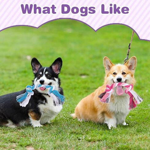 48 PCS Dog Toys Bulk But ropes Dental Cotton Puppy Toys Dog Puppy Buppy Toys 2 Knot Tug Of War Toy for Agrection Chewers Small and Medium Dogs (7.1 Inch) in Saudi Arabia