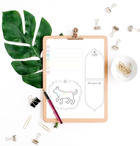 Pet Reiki Distance Session Cards Feline Cat | 50 Pack | 8.5x11" inches Standard Paper Size | Canine Notes | White with Cat Design in Saudi Arabia
