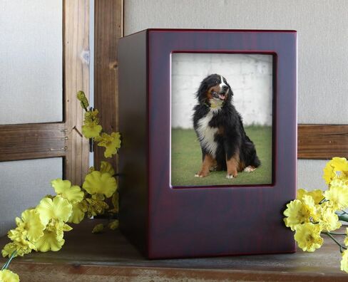 قريبة من عزيزتي الحيوانات الأليفة النصب التذكارية MDF Pet Photo Cremation Cremation ، 200 بوصة مكعبة ، تشطيب الكرز in Kuwait