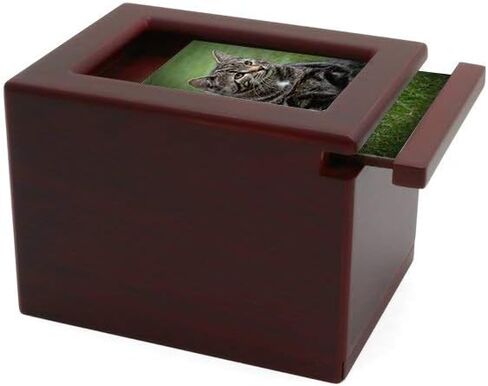قريبة من عزيزتي الحيوانات الأليفة النصب التذكارية MDF Pet Photo Cremation Cremation ، 200 بوصة مكعبة ، تشطيب الكرز in Kuwait
