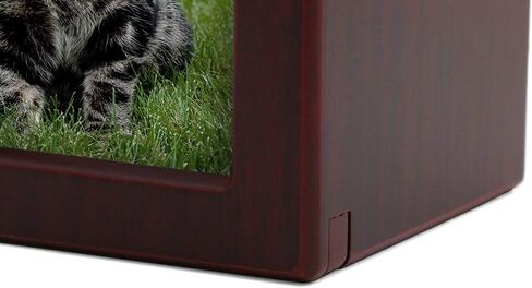 قريبة من عزيزتي الحيوانات الأليفة النصب التذكارية MDF Pet Photo Cremation Cremation ، 200 بوصة مكعبة ، تشطيب الكرز in Kuwait