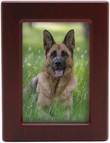 قريبة من عزيزتي الحيوانات الأليفة النصب التذكارية MDF Pet Photo Cremation Cremation ، 200 بوصة مكعبة ، تشطيب الكرز in Kuwait
