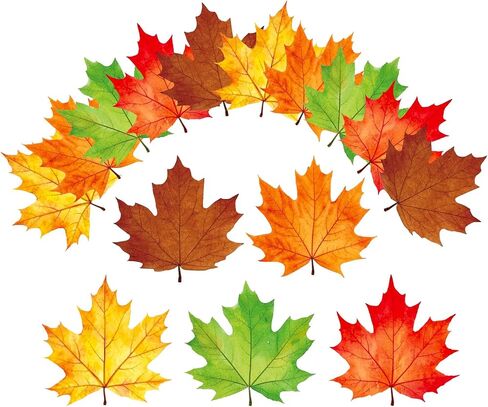 45Pcs Fall Leaves Cutouts Autumn Maple Leaf Paper Cutting with 100Pcs Glue Points for Party Classroom Bulletin Board Craft Wall Decor in Saudi Arabia