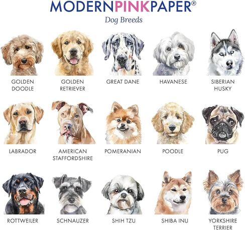 Corgi Notecards and Envelopes, Choose your Dog Breed, FLAT Dog Stationery Card Watercolor, Custom Corgi Gift for Pet Lovers, Personalized Note Cards with Dogs, Your Choice of Colors and Quantity in Saudi Arabia